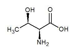 Threonin